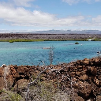 tourhub | BM Tours | 4 Days Galápagos - Isabela Islands and Santa Cruz  