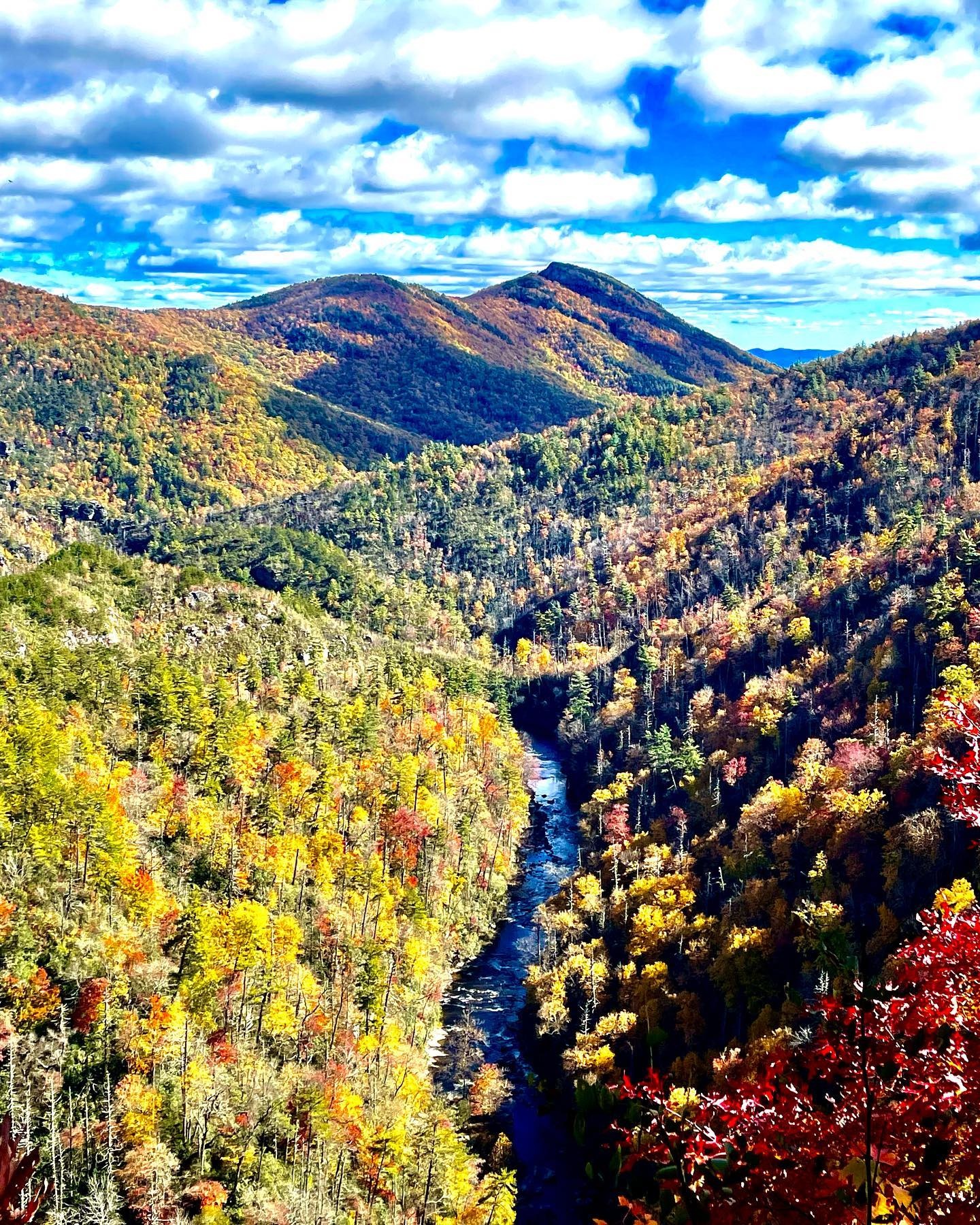 Excursões de Vários Dias a partir de Asheville