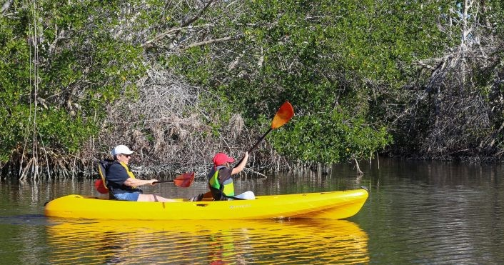 Kayak Rentals