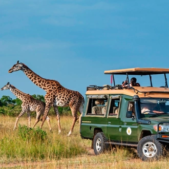 tourhub | Today Voyages | Wonders of Kenya Safari & Lamu Island 