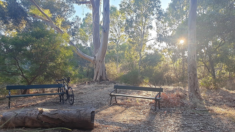 Bushland and dirt trails in Edwards Park (Park 23 South)