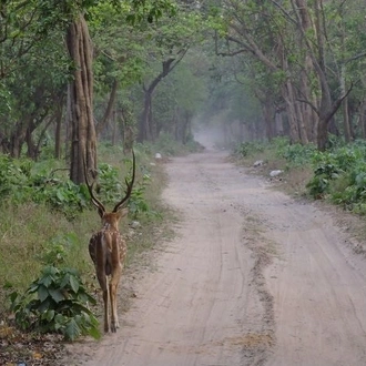 tourhub | Agora Voyages | Delhi to Corbett Tiger Reserve 