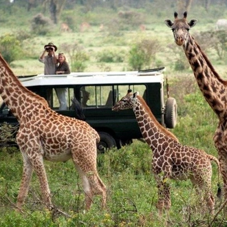 tourhub | Gracepatt Ecotours Kenya | 7 Days Samburu, Lake Naivasha & Masai Mara National Reserve  