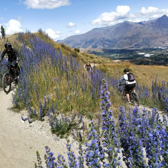 tourhub | Adventure Junkies | 2 Day QT Essential Biking Package 