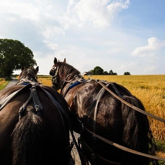 tourhub | Bamba Travel | Niagara Falls, Washington DC, Philadelphia & Amish Country 4D/3N (from New York) 