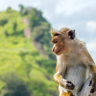 tourhub | Exodus Adventure Travels | Cycle the Back Roads of Sri Lanka 