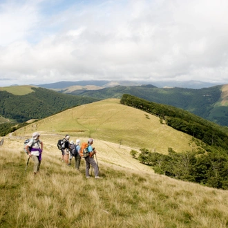 tourhub | Exodus Adventure Travels | Walking across the Pyrenees on the Camino Frances 