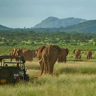 tourhub | Gracepatt Ecotours Kenya |  6 Days Samburu, Lake Nakuru & Masai Mara Safari on 4x4 Jeep 