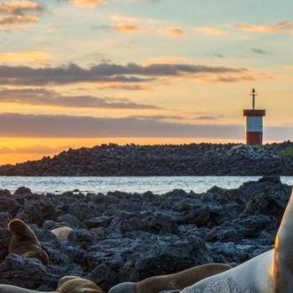 tourhub | G Adventures | Galápagos – Central and East Islands aboard the Reina Silvia Voyager (Cruise Only) 