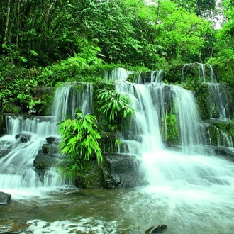 tourhub | Ecuador Galapagos Travels | 4 Days Amazon Sustainable Lodge 