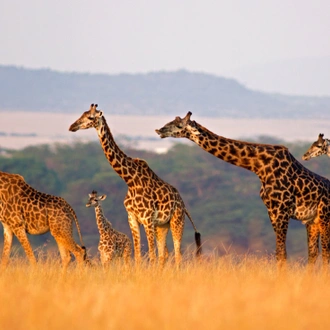 tourhub | Intrepid Travel | Classic East Africa 