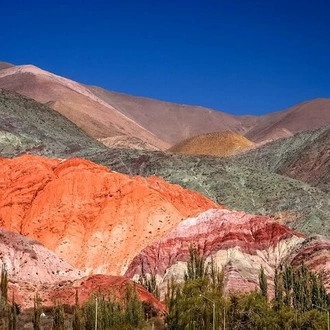 tourhub | Signature DMC | 4-Days Discovering Salta - Nature & Adventure from Buenos Aires 