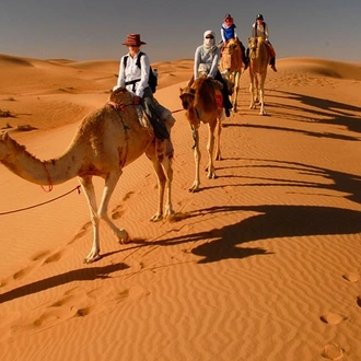 tourhub | Afaq Travel & Tourism Oman | Oman Desert Experience - 2 Nights 