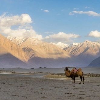 tourhub | Alkof Holidays | Leh Ladakh Tour Package 