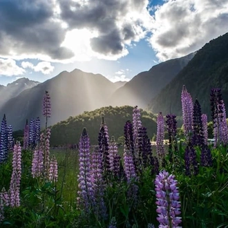 tourhub | Indus Travels | Auckland to Christchurch Self Drive 