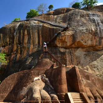 tourhub | Explore! | Family Highlights of Sri Lanka 