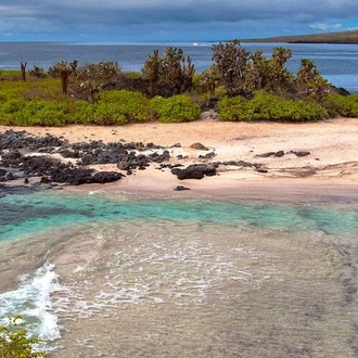 tourhub | Intrepid Travel | Galapagos Encounter: Southern Islands (Grand Queen Beatriz) 