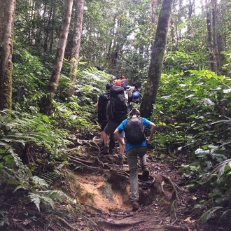 tourhub | Bamba Travel | Malaysia Encompassed Adventure 9D/8N 