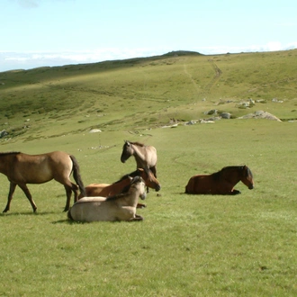 tourhub | Penguin Travel | Rila-Pirin Mountain Trek (Bulgaria), Guaranteed departures 