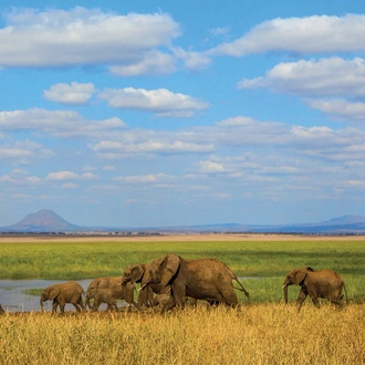 tourhub | Intrepid Travel | Premium Tanzania 