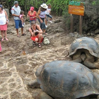 tourhub | BM Tours | Ecuadorian Adventure Quito - Galápagos Islands 8 Days 7 Nights 