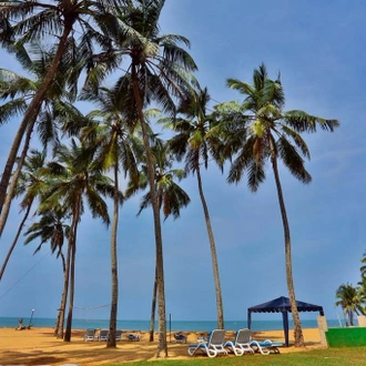 tourhub | Explore Vacations | Wellness Tour In Sri Lanka 