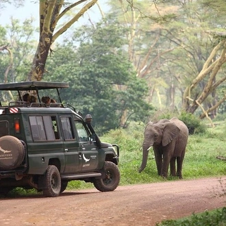 tourhub | Gracepatt Ecotours Kenya | 12 Days Tanzania Best Wildlife Safari And Zanzibar Beach Holiday  