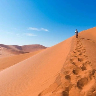 tourhub | Wild Frontiers | Namibia: Sands of Time 