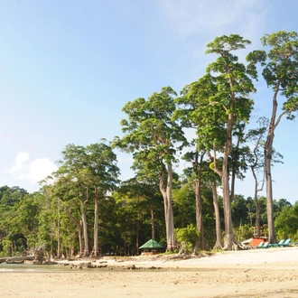 tourhub | Agora Voyages | Andaman Serenity Escape: A Beach Paradise Voyage 