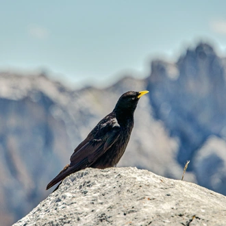 tourhub | Exodus Adventure Travels | Walking the Picos de Europa 