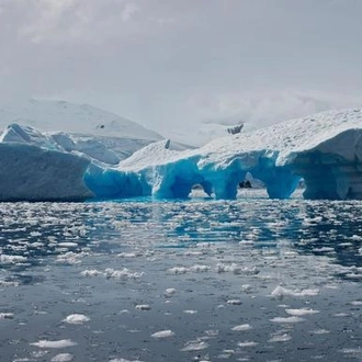 tourhub | G Adventures | Antarctica Classic 