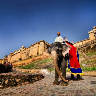 tourhub | Panda Experiences | North India Tour with Varanasi 