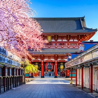 tourhub | Tweet World Travel | Japan Family tour 