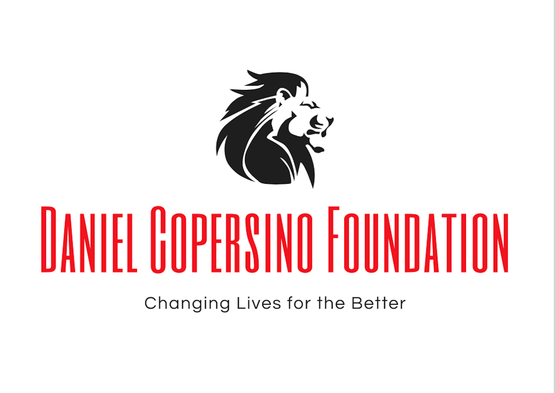 Daniel Copersino Foundation, Inc. logo