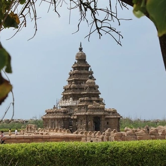 tourhub | Agora Voyages | Cultural Marvels Circuit: Chennai to Pondicherry 