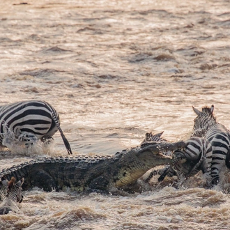 tourhub | Alaitol Safari | Great Migration Grumeti River 