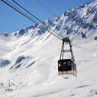 tourhub | Tweet World Travel | Japanese Alps - Snow Monkeys & Snow Corridor 