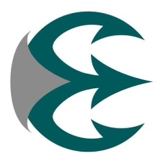 Elevate Fastpitch (2010) logo