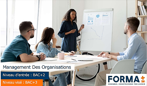 Représentation de la formation : Management des Organisations