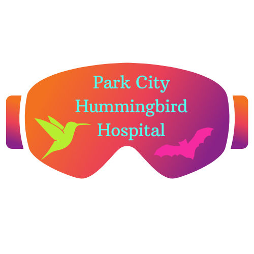 Park City Hummingbird Hospital logo