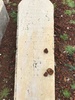 Grave of Samuel Albo, Jewish Cemetery, Ponta Delgada, San Miguel, Azores, 2017. Photo courtesy E.J. Medros.