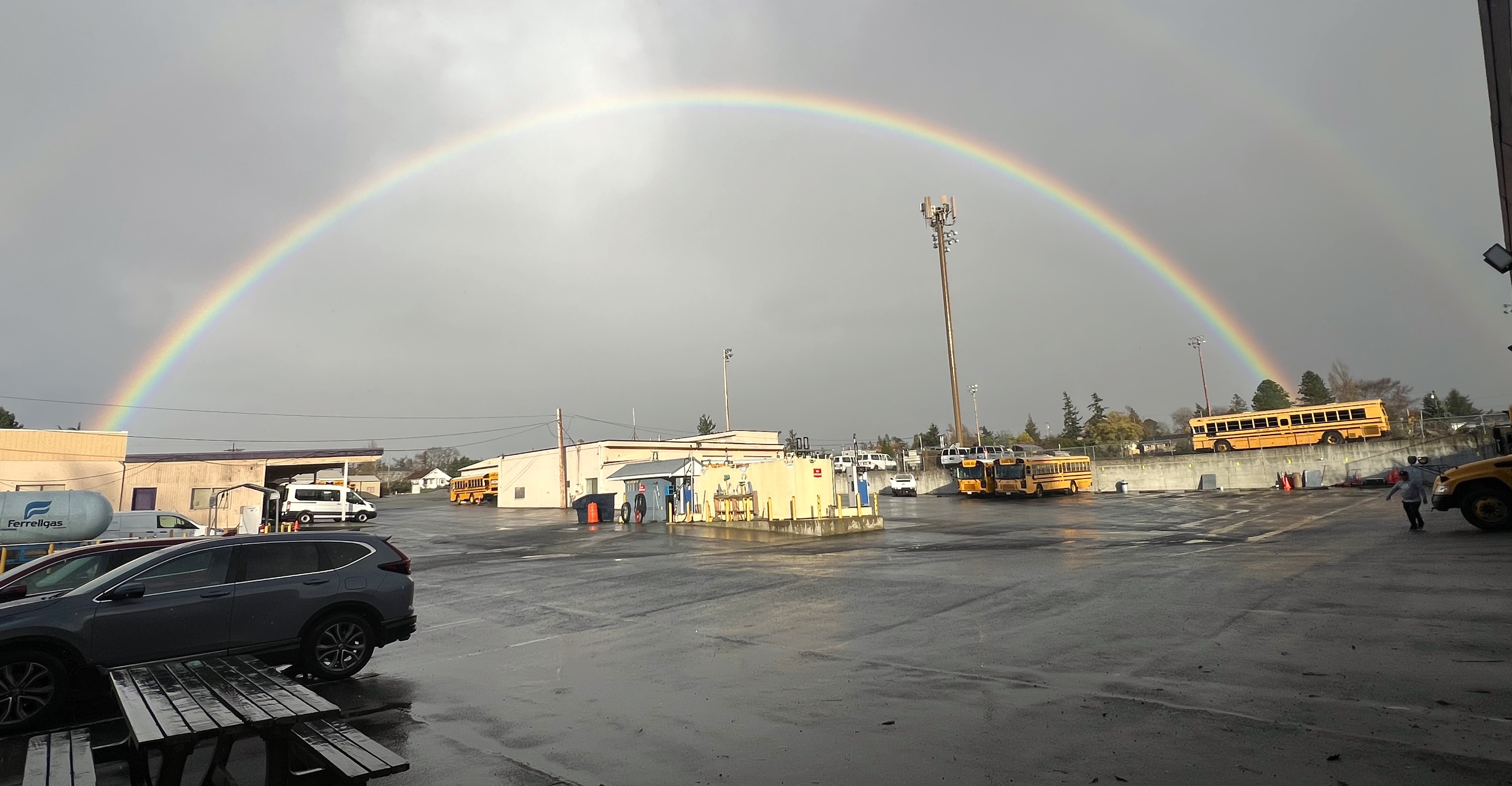 rainbow bus