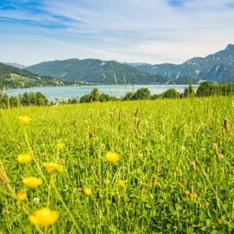 tourhub | Exodus Adventure Travels | Self-Guided Walking in Austria's Lake District 