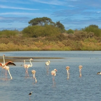 tourhub | Travel Editions | Authentic Algarve Tour 