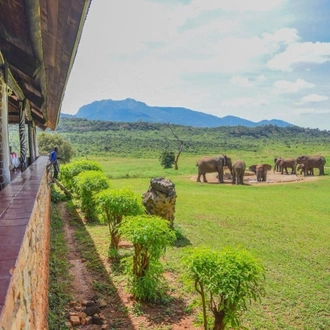 tourhub | Johnbow Tours and Travel | 3 Days Tsavo East & Tsavo West Safari 