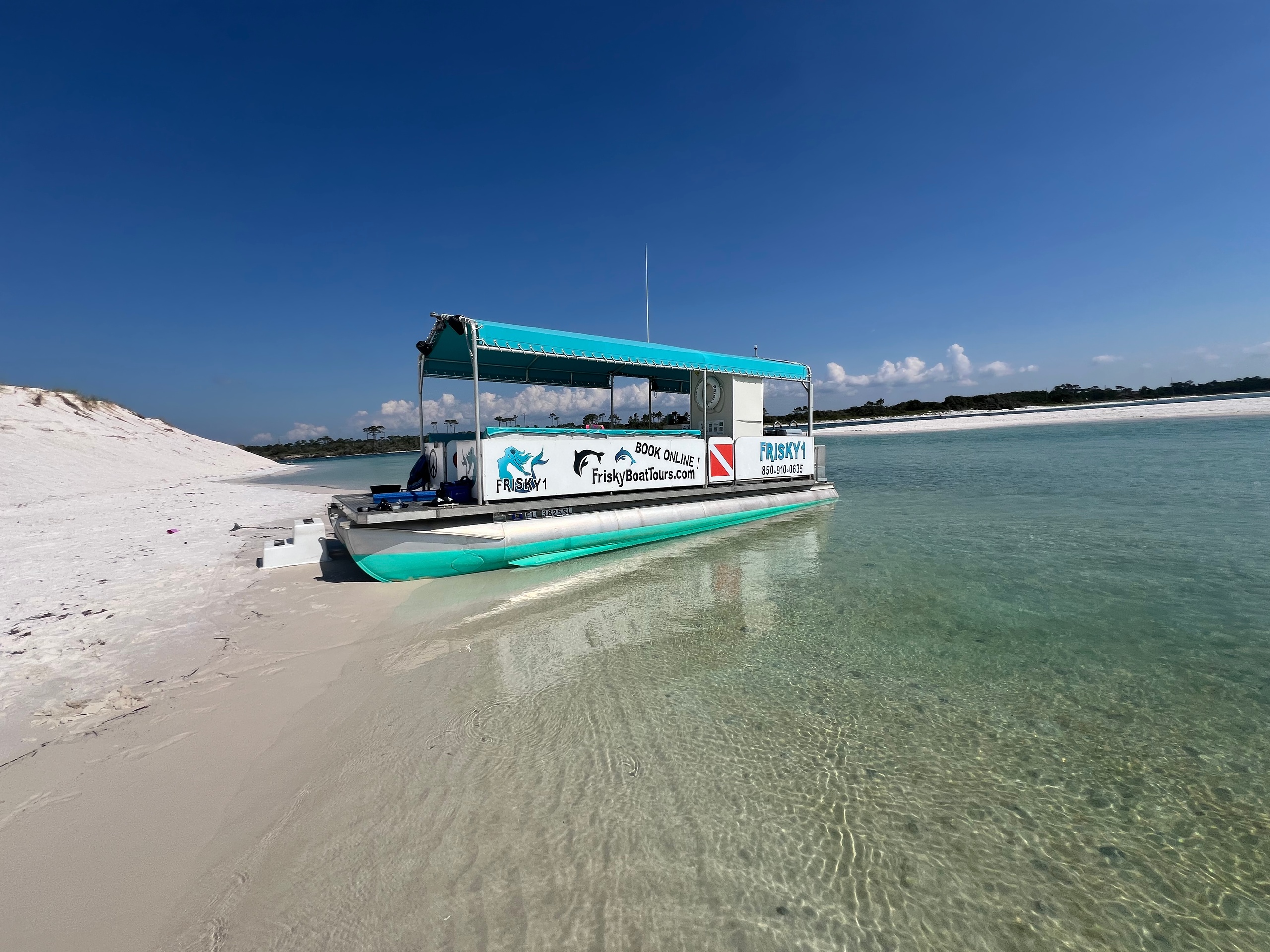 Secluded Beach Stop + Dolphin Tour + Equipment