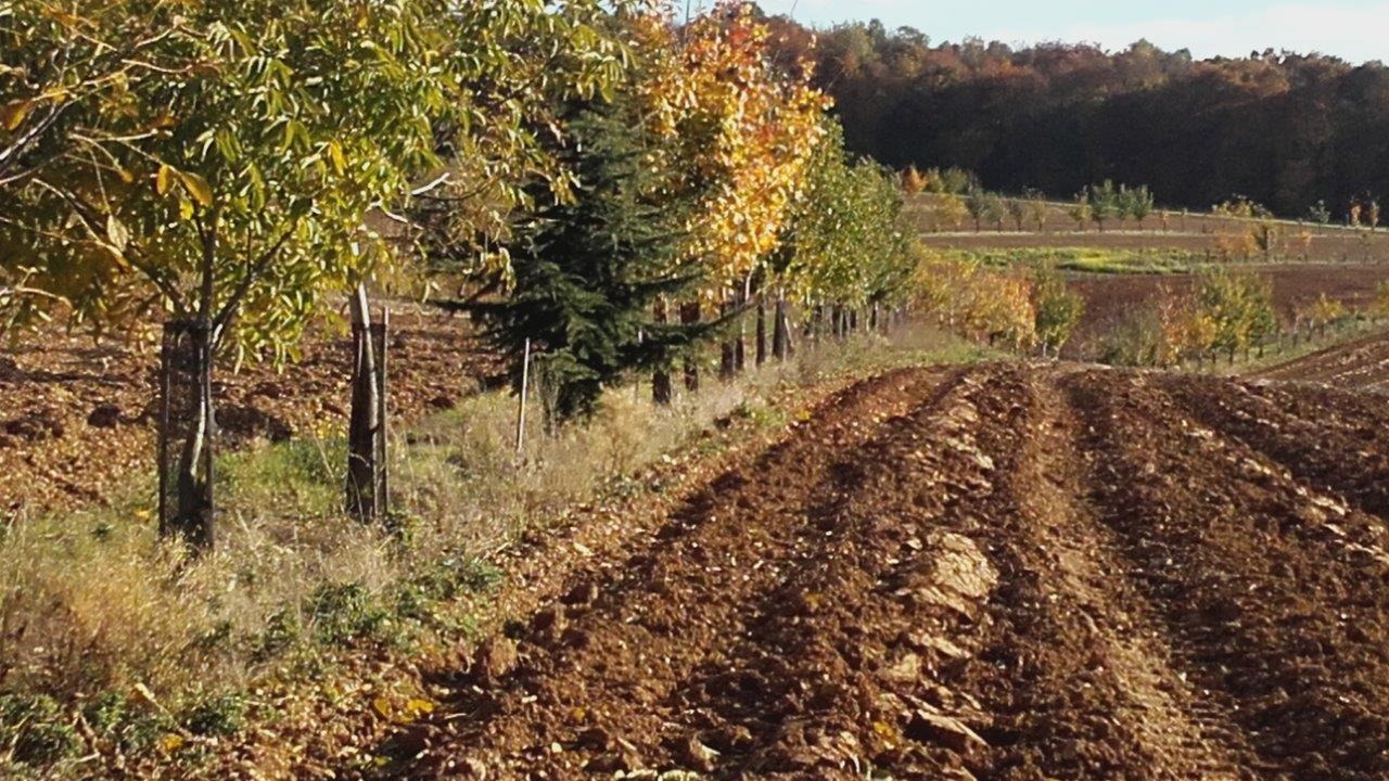 Représentation de la formation : Intégrer et entretenir l'arbre et la haie dans les fermes