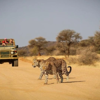 tourhub | Chameleon Safaris Namibia | 6 Day Etosha, Himba & Skeleton Coast Camping Safari 