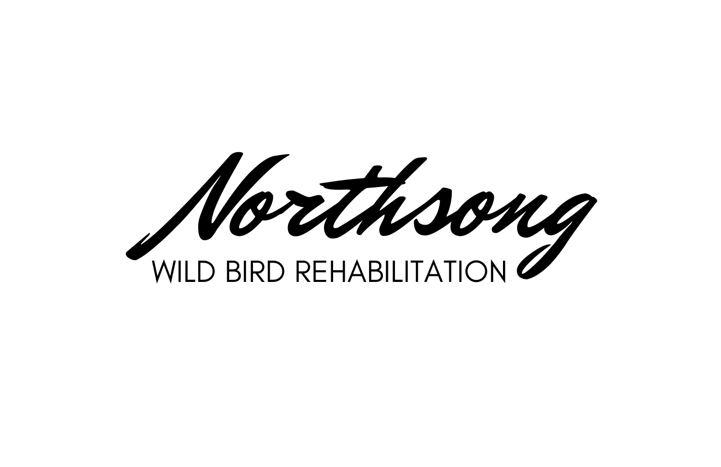 Northsong Wild Bird Rehabilitation logo