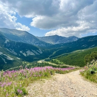 tourhub | Travel Editions | Alpine Wildflowers of Bulgaria Tour 